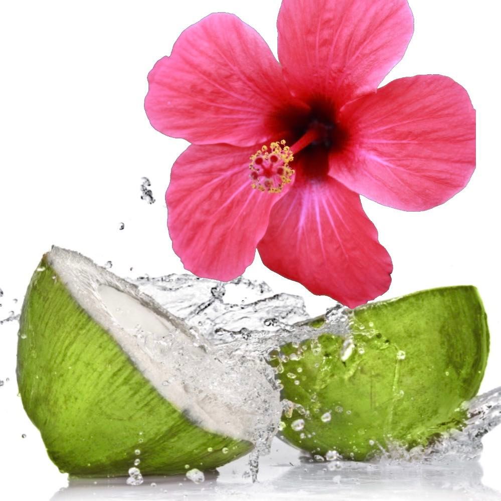 Snap bar Hibiscus & Coconut Water